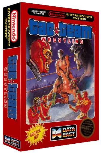 jeu Tag Team Wrestling